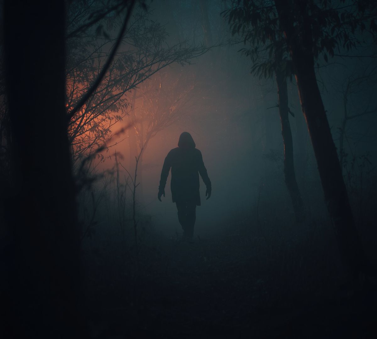 Stalking e rischio di violenza (STAR V)